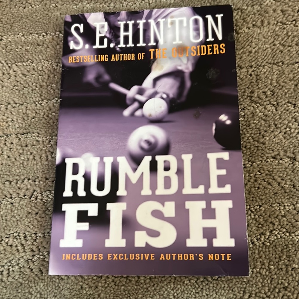 Rumble fish book